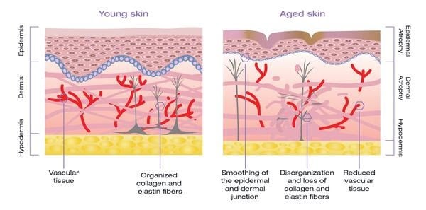 Alastin Skin Care Maryland